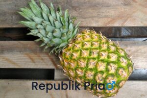 Read more about the article 8 Manfaat Nanas untuk Pria