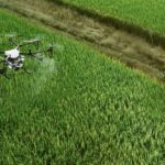 Agroteknologi Kerja Apa? Cek Prospeknya di sini