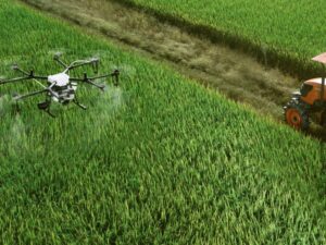 Read more about the article Agroteknologi Kerja Apa? Cek Prospeknya di sini