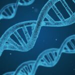 Jurusan Biologi Kerja Apa? Cek Prospeknya di sini