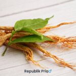 7 Manfaat Ginseng untuk Pria