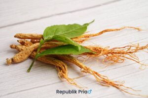 Read more about the article 7 Manfaat Ginseng untuk Pria